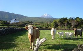 Casa Do Canto # Pico Holiday Rentals
